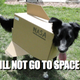 Illustration for article titled YOU WILL NOT GO TO SPACE TODAY